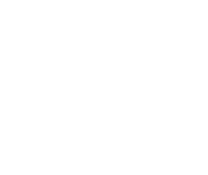 move-team-logo-branco-blog